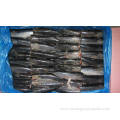 Pacific Frozen Mackerel Hgt With Best Quality